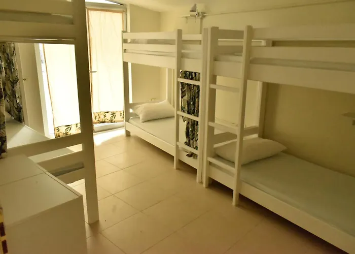 旅馆 Trip'n'hostel Pink Bubble 地拉那